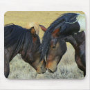 Search for horse mousepads Western