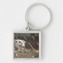 Search for dairy key rings Agriculture