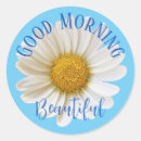 Search for blue daisies stickers White daisy