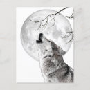 Search for howling wolf at moon postcards Nature