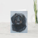 Search for golden doodle puppies cards Pet