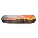 Search for tranquil skateboards Photography