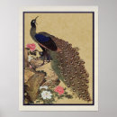Search for japanese peacock art Flower