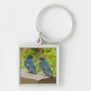 Search for swallow key rings Nature