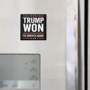 Search for fixed magnets Election