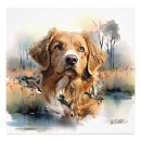Search for nova scotia art Retriever