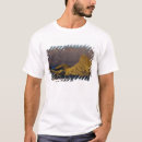 Search for zabriskie tshirts California
