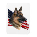 Search for k 9 magnets Police