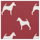Search for smooth fox terrier Pets