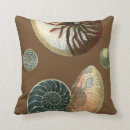 Search for shell cushions Conch seashell
