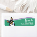 Search for cardigan corgi return address labels Welsh