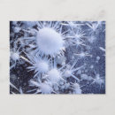 Search for blue ice postcards Superstock