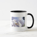 Search for wasp mugs Nature