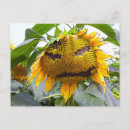Search for unhappy postcards Funny
