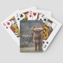 Search for cow playing cards Calf