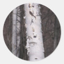Search for birch bark stickers Tree