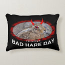 Search for animals hare cushions Cute