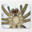 Search for arachnid mousepads Spider