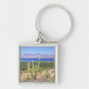 Search for baja key rings Ocean