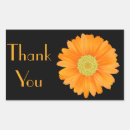 Search for orange gerbera daisy stickers Daisies