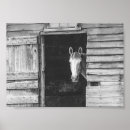Search for black and white barn posters Horses