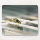 Search for amphibians electronics Humour