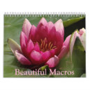 Search for macro office supplies Beautiful
