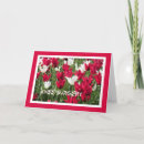 Search for top surgery cards Well