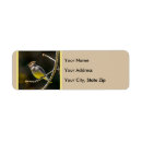Search for songbird return address labels Wild bird