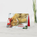 Search for tabby christmas cards Animal