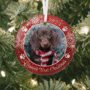 Search for dog first christmas tree decorations Modern