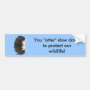 Search for otters bumper stickers Sea otter