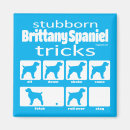 Search for brittanys magnets Brittany spaniel