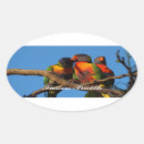 Search for rainbow lorikeet stickers Bird