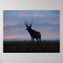 Search for buck deer posters Wildlife photography