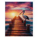 Search for pelican posters Sea
