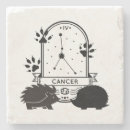 Search for zodiac coasters Constellation