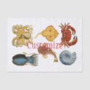 Search for crab tissue paper Sea creatures