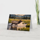 Search for elk birthday cards Mountains