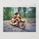Search for funny motorcycle postcards Ride