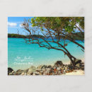 Search for st john postcards Tropical