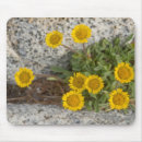 Search for enchantments mousepads Cascade range