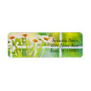 Search for window return address labels Watercolor