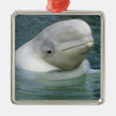 Search for beluga christmas tree decorations Cute