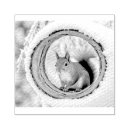 Search for squirrel rubber stamps Nature