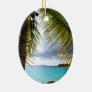 Search for st john christmas tree decorations Usvi