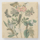 Search for insect coasters Caterpillars
