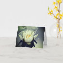 Search for lotus flower cards Water lily