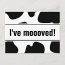 Search for funny prints postcards We've moved