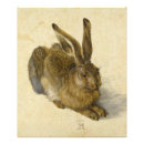 Search for hare posters Durer